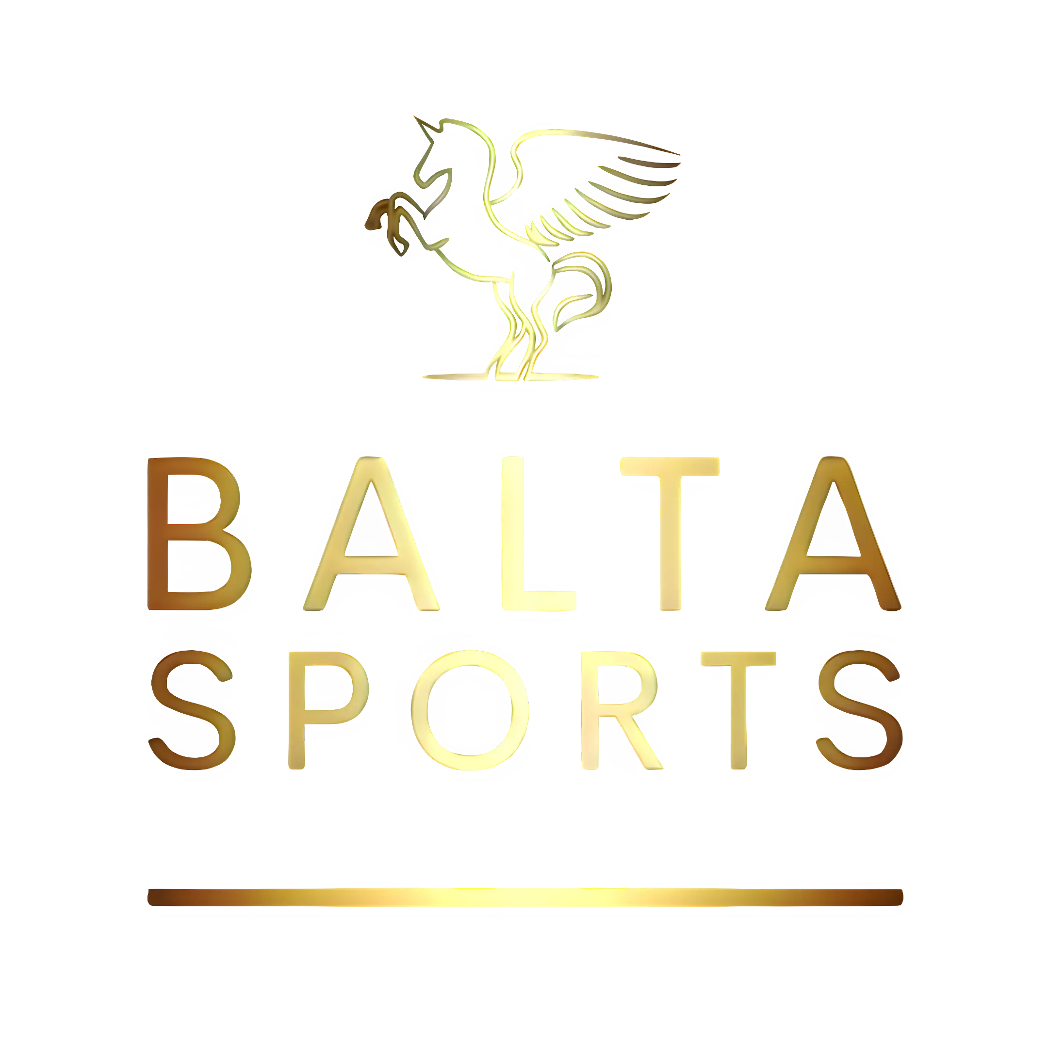 Balta Sports